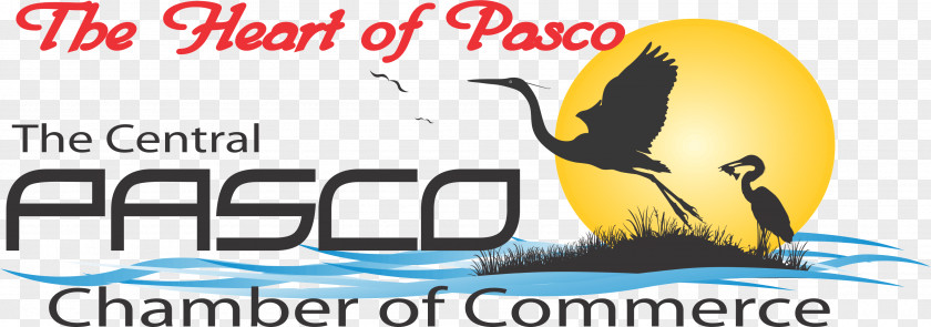 Logo Illustration Clip Art Beak Brand PNG