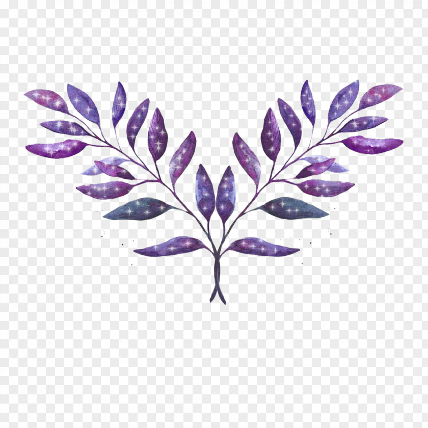 Perennial Plant Monkshood Leaf Purple Flower Tree PNG
