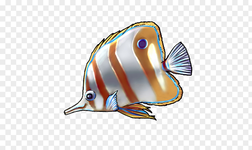 Pomacentridae Pomacanthidae Fish Cartoon PNG