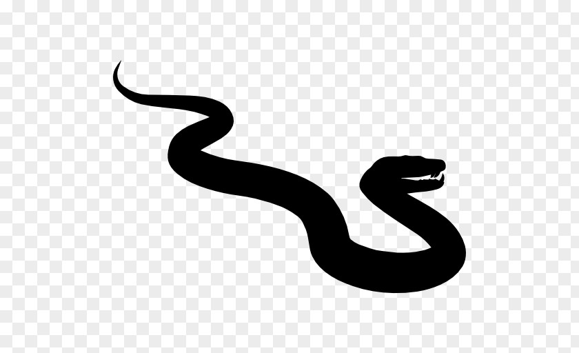 Anaconda Snake Reptile Python Family PNG