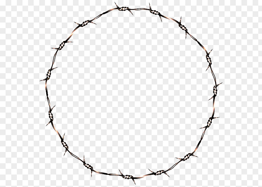 Branch Wire Fencing Fence Cartoon PNG