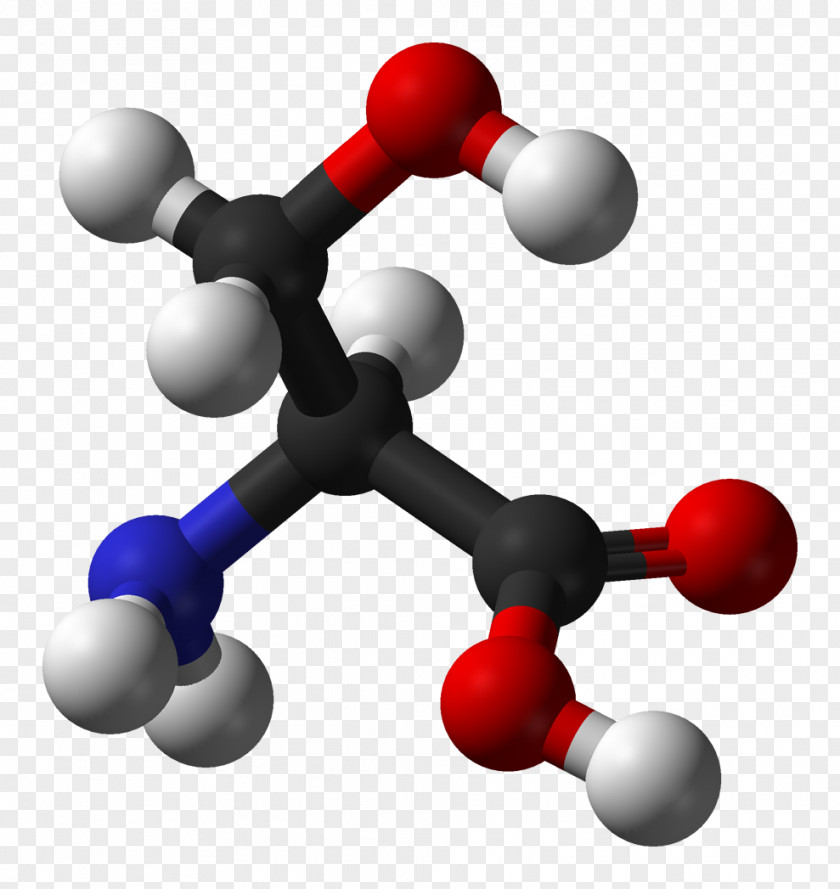 Cysteine Metabolism Amino Acid Sulfinic Acetylcysteine PNG