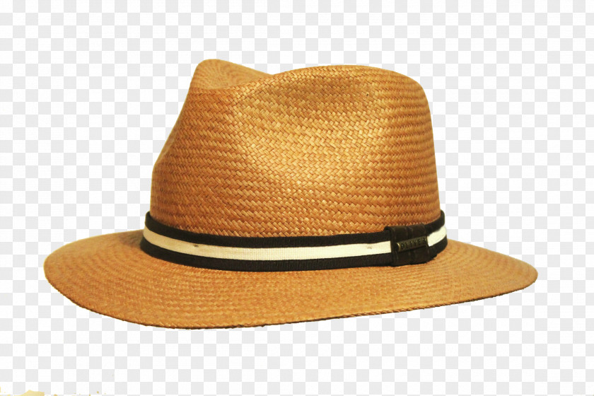 Hat Fedora Panama Felt Leather PNG