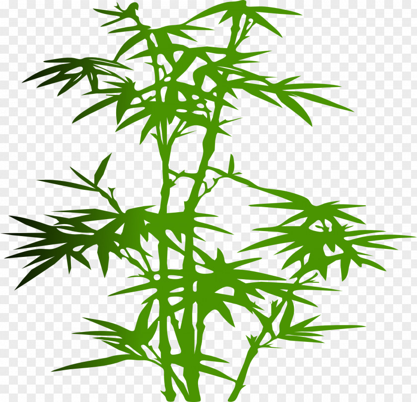 Lush Bamboo Silhouette Clip Art PNG