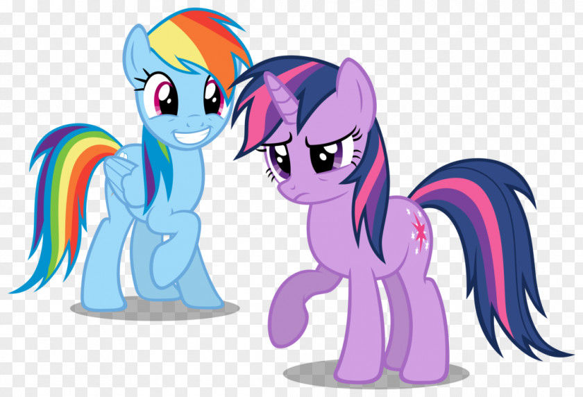 Rainbow Pony Dash Twilight Sparkle Pinkie Pie Video PNG