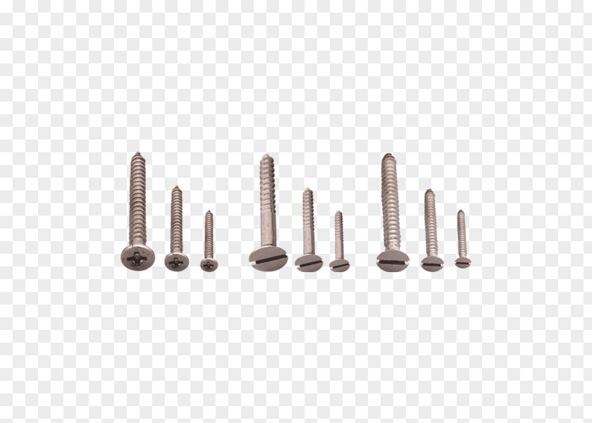 Screw Thread Fastener 01504 PNG