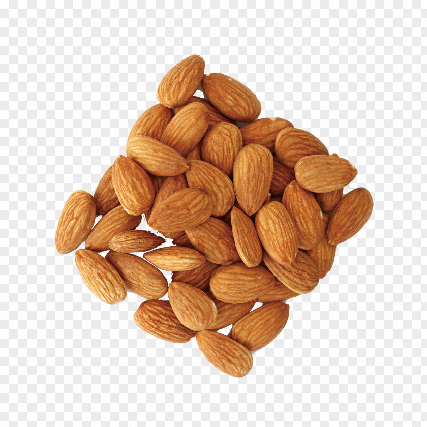 The Skin Of Almonds National Palace Museum Nut Almond Dim Sum PNG