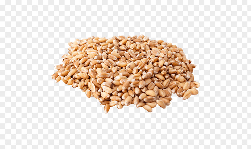 Buckwheat Flour 50 Lb Organic Food Wheat Berry Cereal Grain Wheatgrass PNG