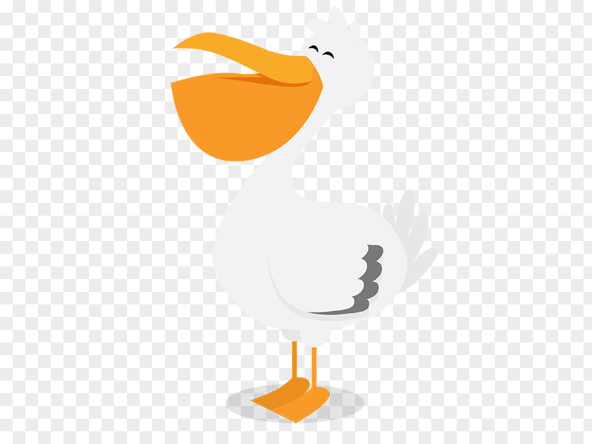 Duck Beak Clip Art PNG