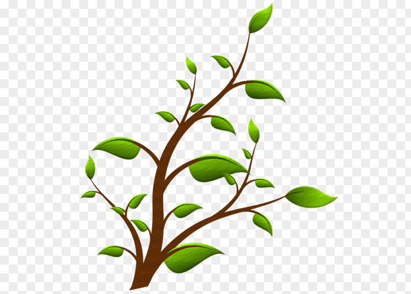 Leaf Plant Stem Flower Clip Art PNG