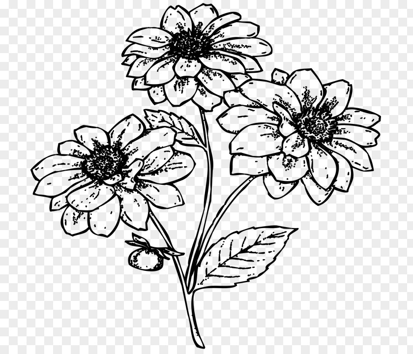 M Drawing Floral Design Flower /m/02csf Black & White PNG