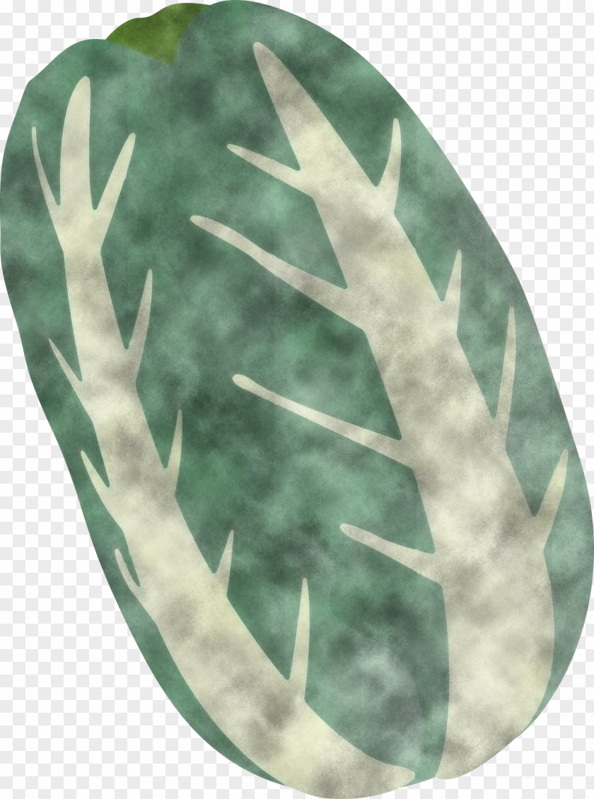 Nappa Cabbage PNG