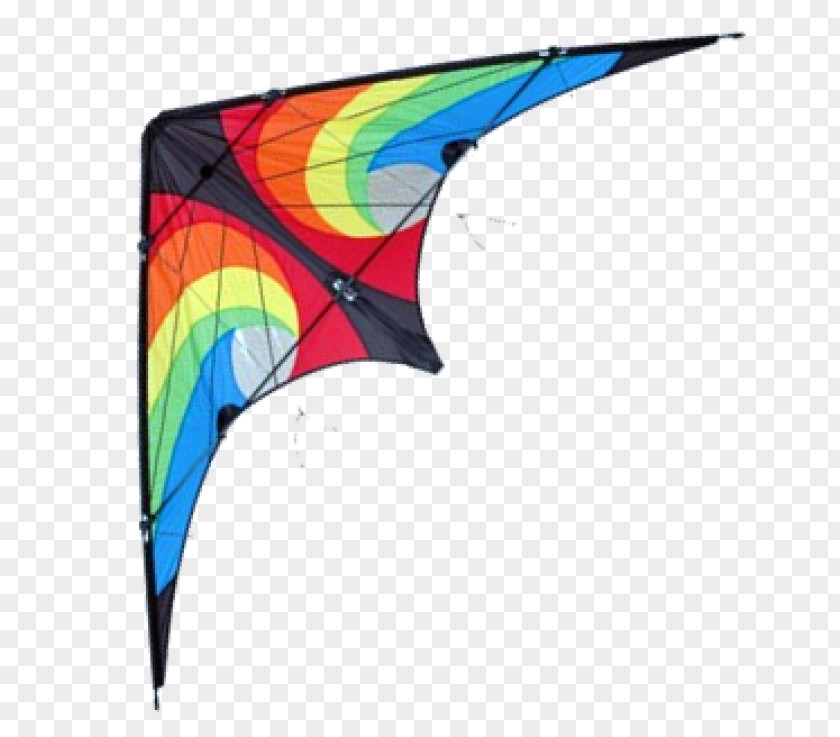 Sport Kite Rainbow PNG