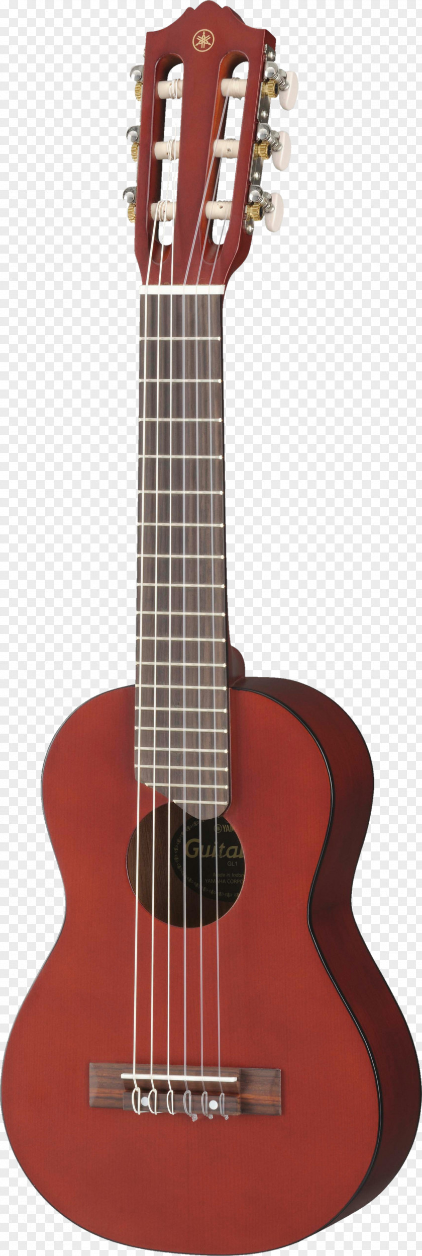 Acoustic Guitar Ukulele Electric Bass PNG