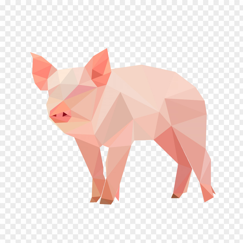 Animal Figure Snout Domestic Pig Suidae Pink Boar Cartoon PNG