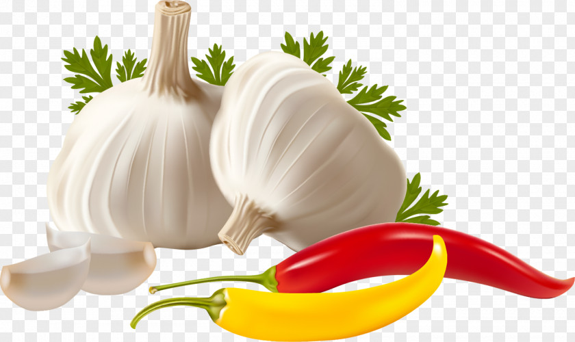 Garlic Vegetable Herb PNG