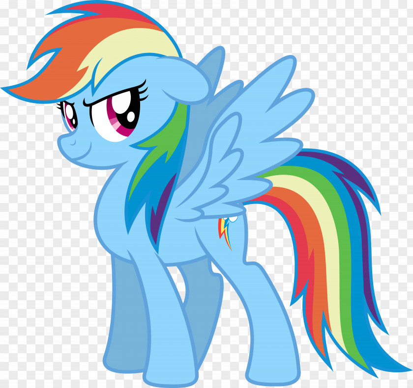 My Little Pony Rainbow Dash Pinkie Pie Applejack Fluttershy Rarity PNG