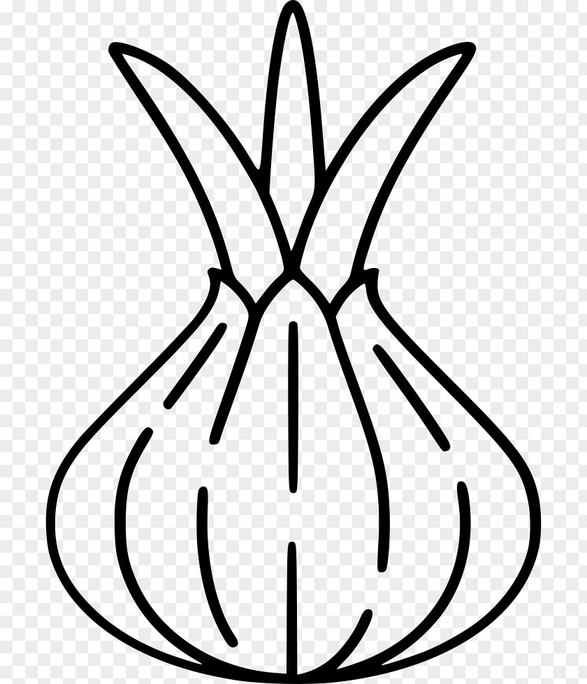 Onion Clip Art PNG