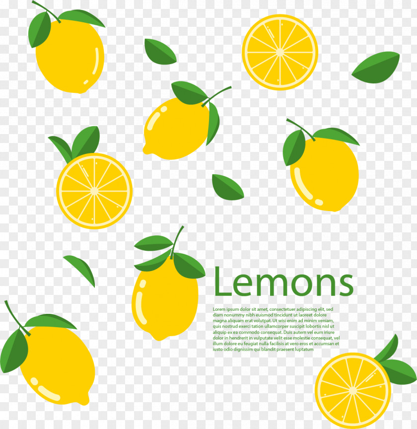 Vector Hand Painted Lemon Lime Euclidean Citron PNG