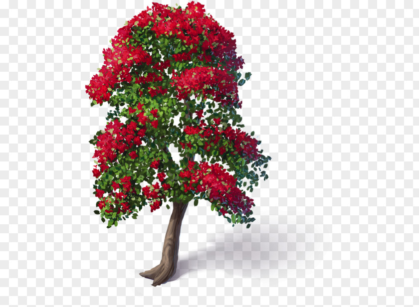 Bougainvillea Cut Flowers Garden Roses Plant Floral Design PNG