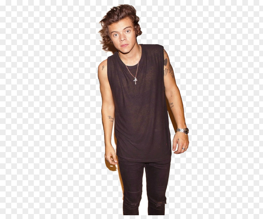 One Direction Harry Styles The X Factor Photo Shoot After PNG