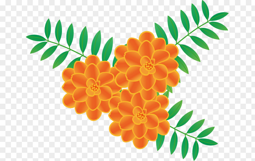 Summer Flowers Flower Art Marigold Royalty-free PNG