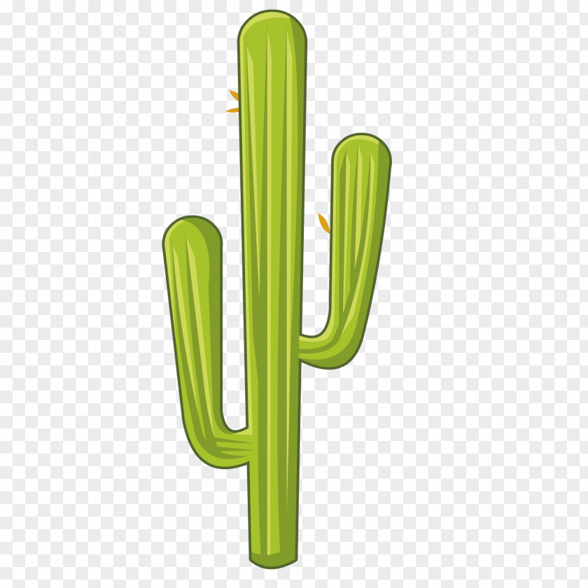 Thirsty Cactus Cactaceae Plant Germination PNG