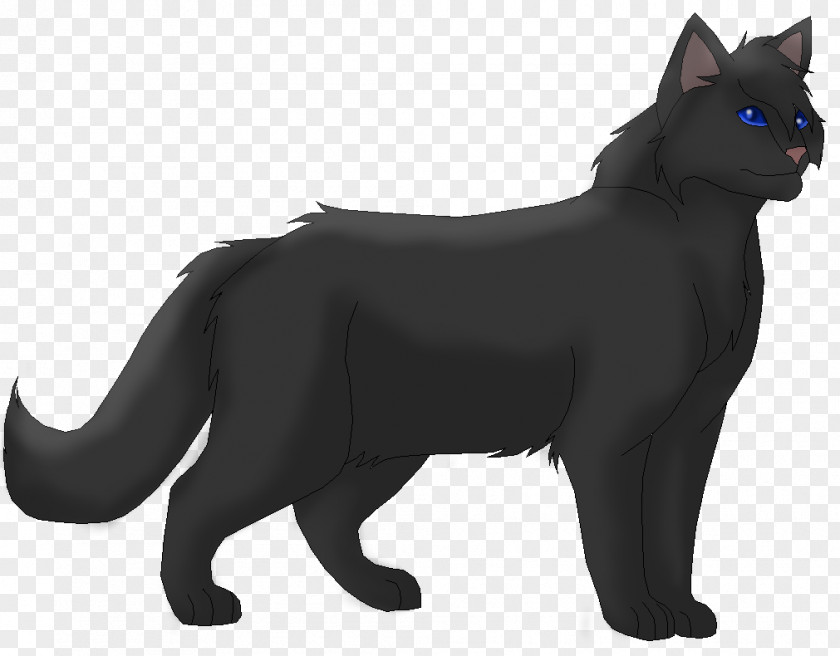 Cat Black Crowfeather Warriors Nightcloud PNG