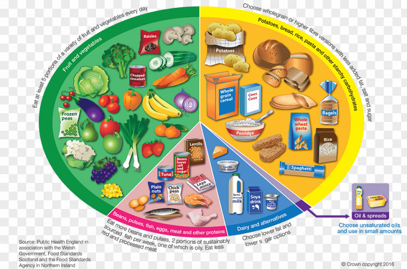 Healthy Diet Eatwell Plate Food Eating PNG