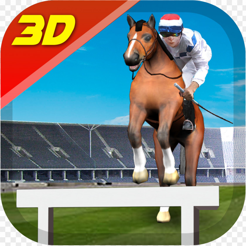 Horse Race Racing 3D Android Learning English PNG