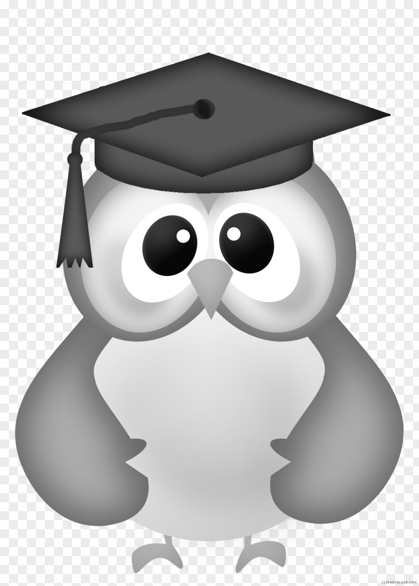 Owl Clip Art Graduation Ceremony Openclipart Graduate University PNG
