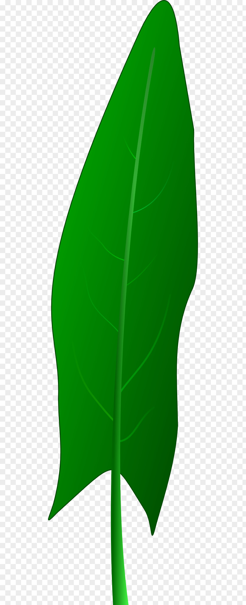 Spinach Leaf Plant Stem PNG