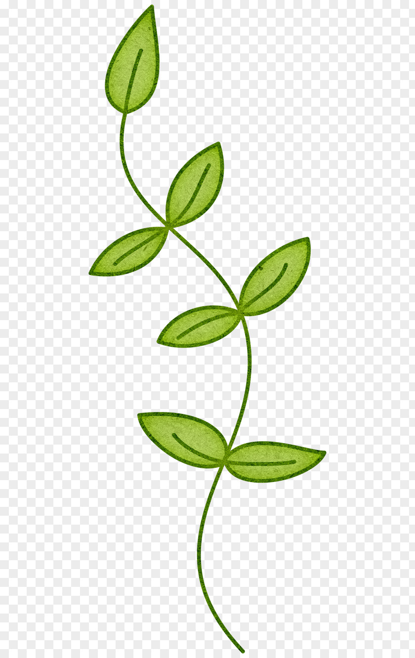 Spring Leaves Branch Plant Stem Leaf Clip Art PNG