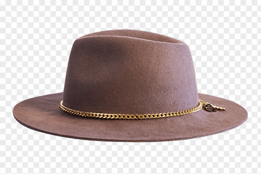 Chapeu De Palha Fedora PNG