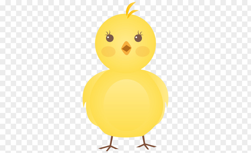 Chick Chicken Egg Icon PNG