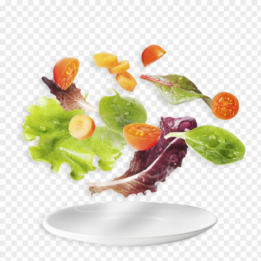 Drink Stock Photography Foodservice Chef PNG