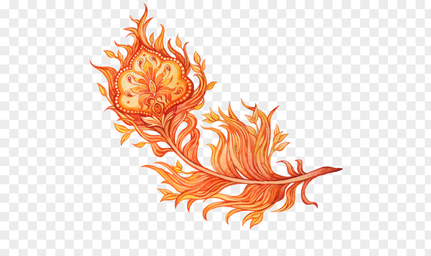 Feather Firebird Art PNG