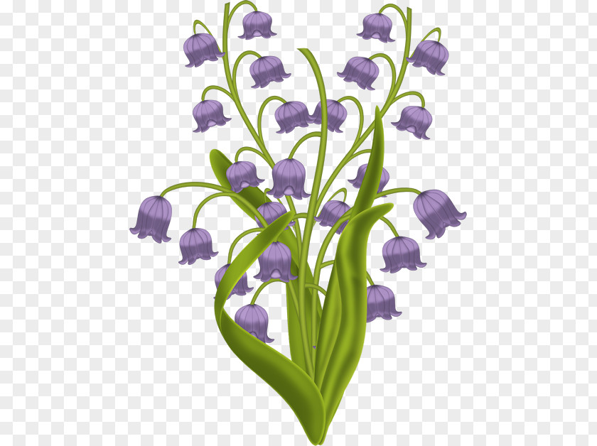 Internet Element Lily Of The Valley Plant Stem Cut Flowers Violet May PNG