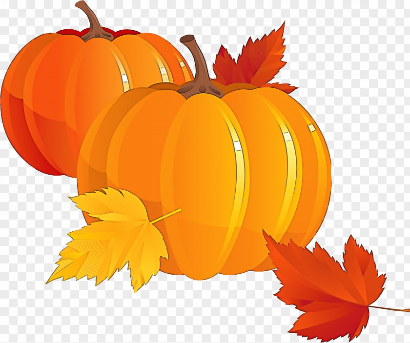 Orange PNG