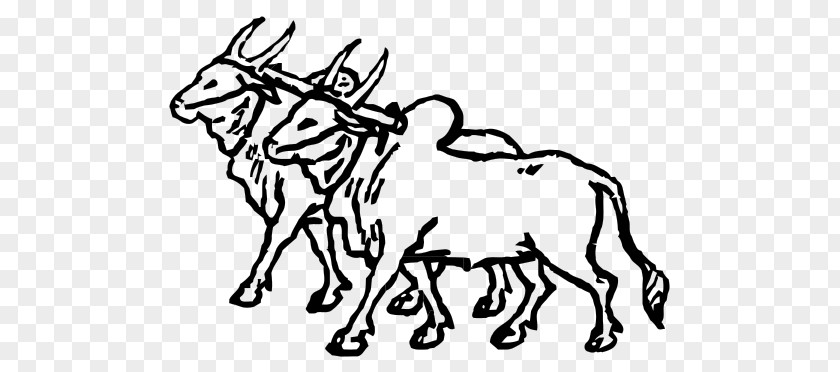 Ox Cattle Mule Clip Art PNG