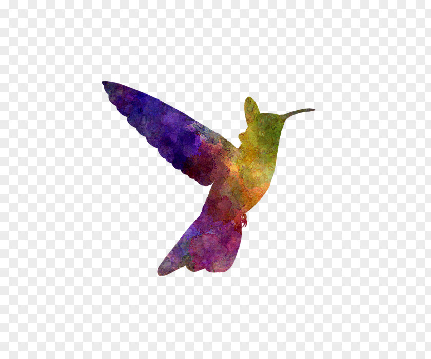 Painting Hummingbird Watercolor Art Oil Paint PNG