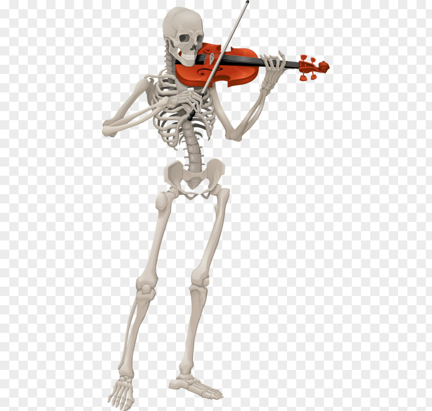 Skeleton Playing A Violin Technique Human Illustration PNG