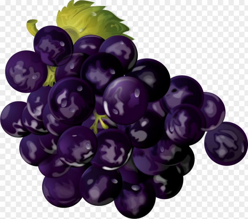 Vector Painted Blueberry Peach Fruit Grape Painting PNG