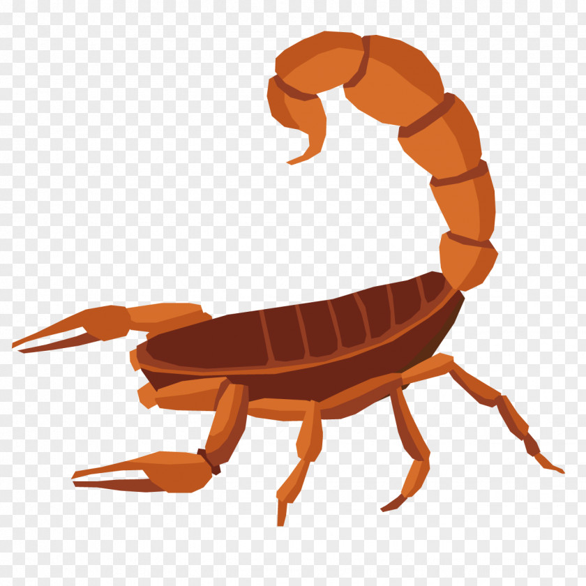 Cartoon Scorpion Turtle Reptile PNG