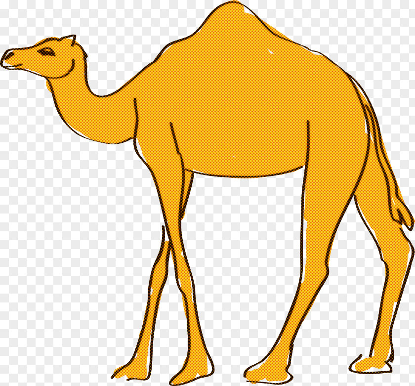 Dromedary Cartoon Drawing Action Figure Mascot PNG