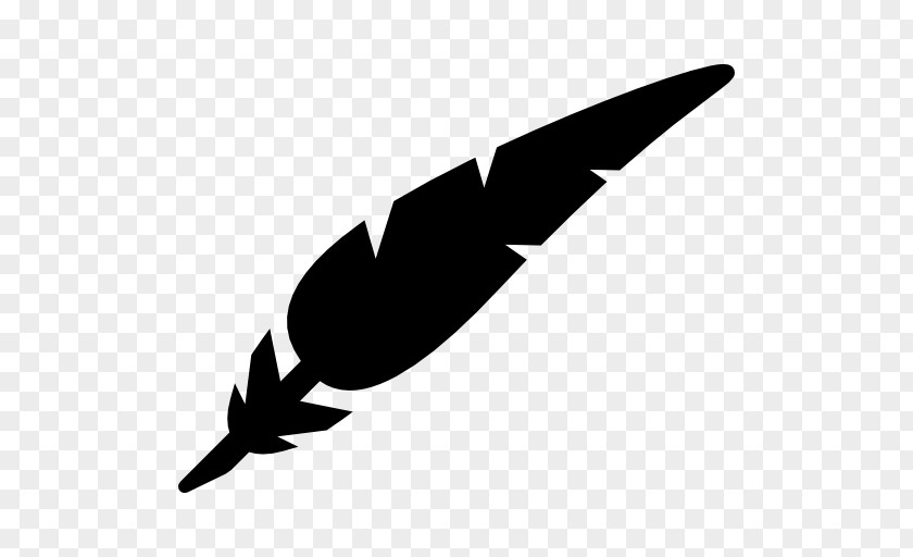 Feather Drawing Clip Art PNG