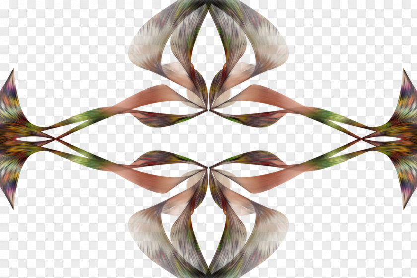 Petal Symmetry PNG