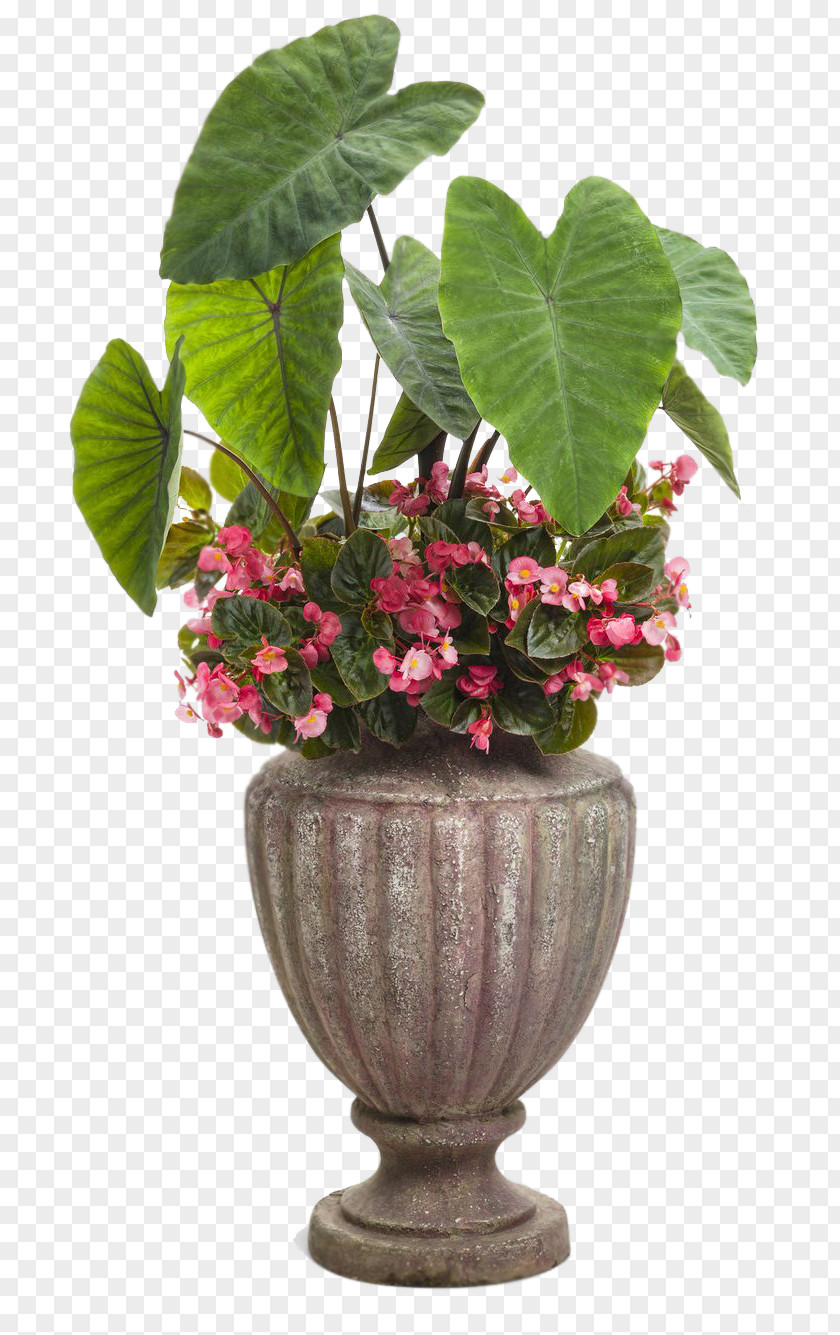 Reef Flowerpot Houseplant Container Garden PNG