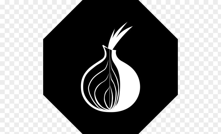 Tor Dark Web .onion Browser The Hub PNG web browser Hub, onion clipart PNG
