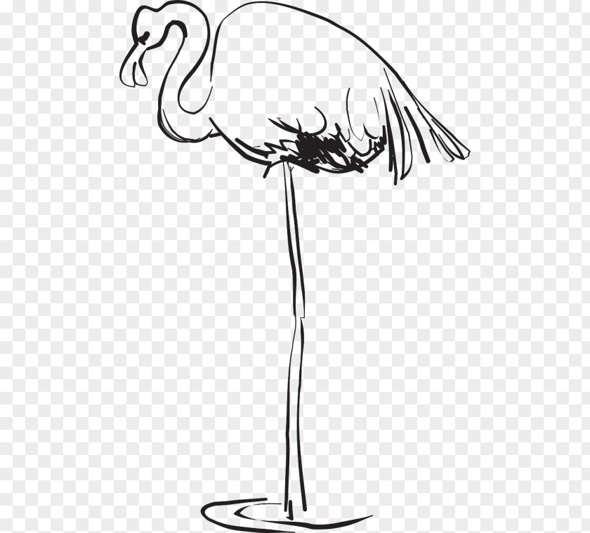Bird Beak Greater Flamingo Clip Art PNG